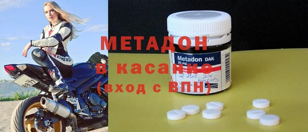 индика Алексин