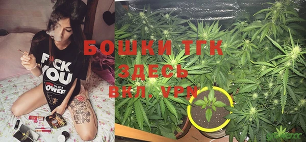 индика Алексин