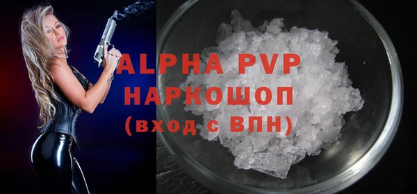 индика Алексин