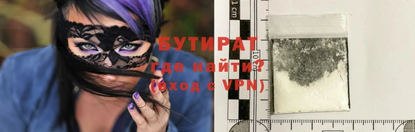 индика Алексин