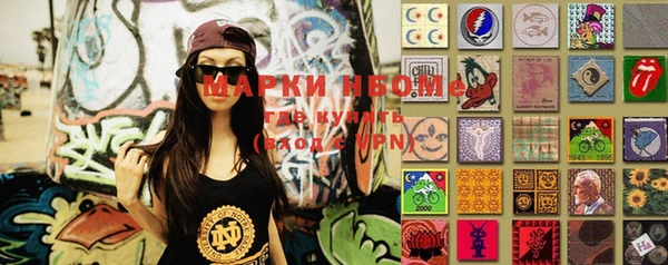 индика Алексин