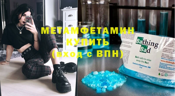 индика Алексин