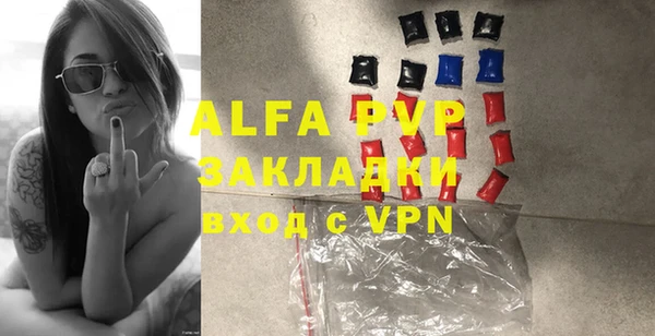 индика Алексин