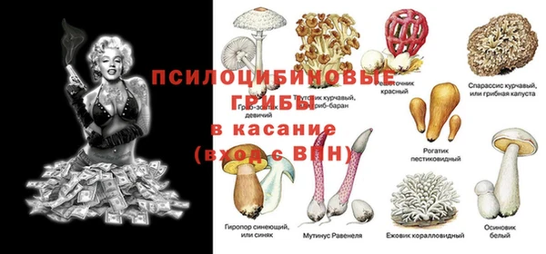 дурь Алзамай