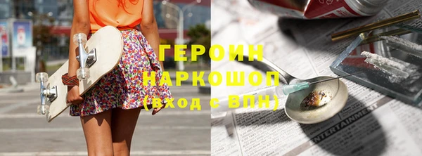 индика Алексин
